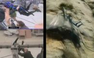 VIDEO: Cascadorii de 1 miliard de dolari! VEZI cum au fost inregistrate luptele din Avatar!