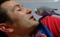 VIDEO:&nbsp;Un papagal&nbsp;stelist isi injura favoritii :)