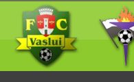 Vasluiul nu-si revine: Vaslui 1-1 Gaz Metan Medias (Ljubinkovic/Prodan)