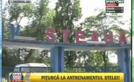 
	VIDEO Telenovela incheiata! Piturca a venit in Ghencea sa discute cu fanii!
