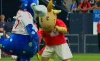 
	Ce caterinca! Mascotele s-au luat la bataie la meciul lui Ionita contra lui Raul! VIDEO
