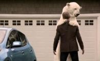 
	VIDEO:&nbsp;Vezi&nbsp;ce&nbsp;face un urs polar cand planeta se scufunda!
