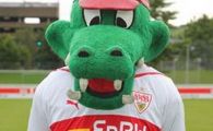 
	"La Stuttgart, mascota are mai multe sanse sa joace decat MARICA"
