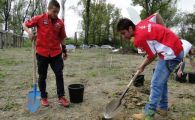 
	VIDEO! Dinamovistii au trecut la munca de jos! Au plantat copaci sub comanda lui Andone!

