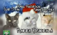 
	SUPER VIDEO Salutari de la MIAUami! Imaginile care l-au bagat pe Borcea in spital! Cum a ras Becali de el dupa derby!
