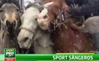
	Cu ei jucam primul amical din 2012! Jucatorii lui Piturca s-au speriat cand au aflat care este sportul national in Turkmenistan! VIDEO
