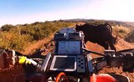 
	VIDEO: Un bou da peste o vaca in cel mai stupid accident! Boul e ok, vaca a fugit de la locul intamplarii!
