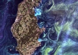 Toti cei care au vazut aceasta fotografie au spus ca este un tablou! 99% s-au inselat! Vezi detaliul care o sa te uimeasca